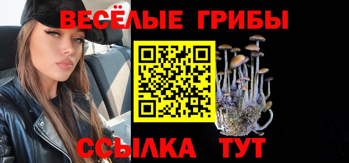 Галлюциногенные грибы GOLDEN TEACHER Новосибирск